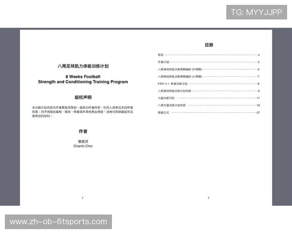足球训练中的体能训练方法与训练周期安排
